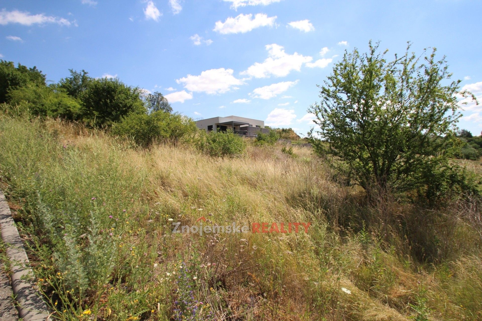 Prodej pozemku 2679 m² - foto 2