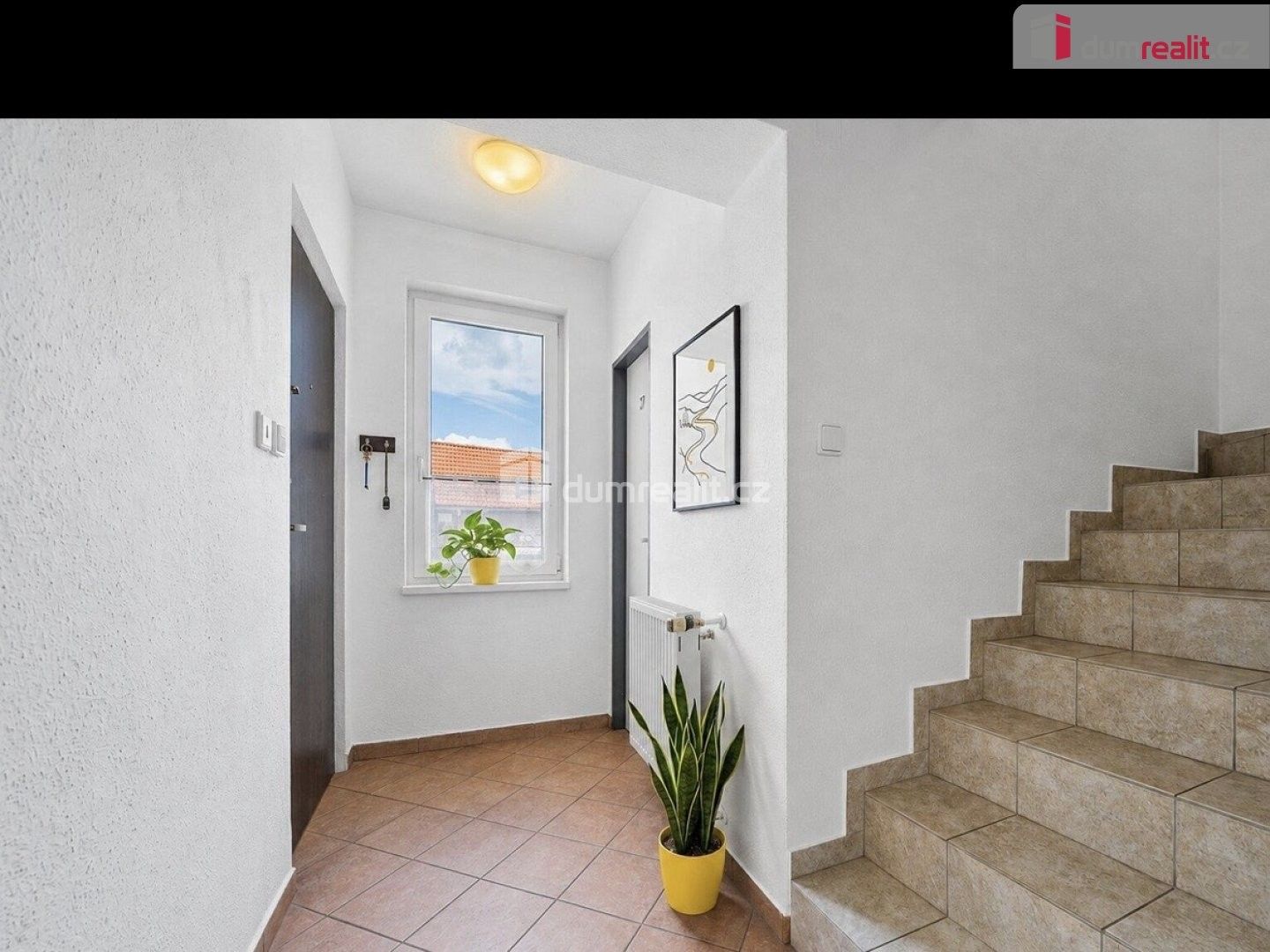 Pronájem nemovitosti 13 m² - foto 3