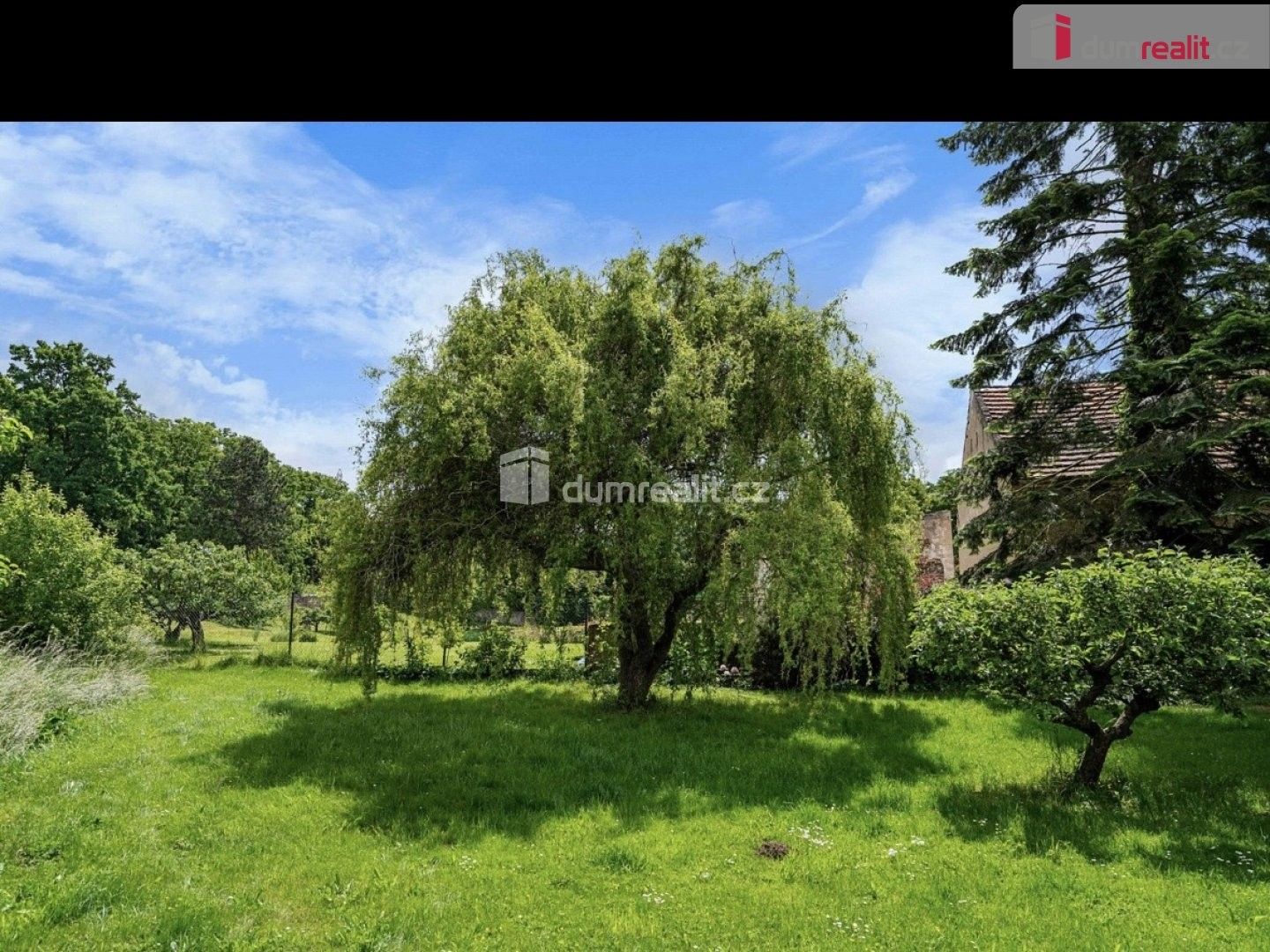 Pronájem nemovitosti 13 m² - foto 6
