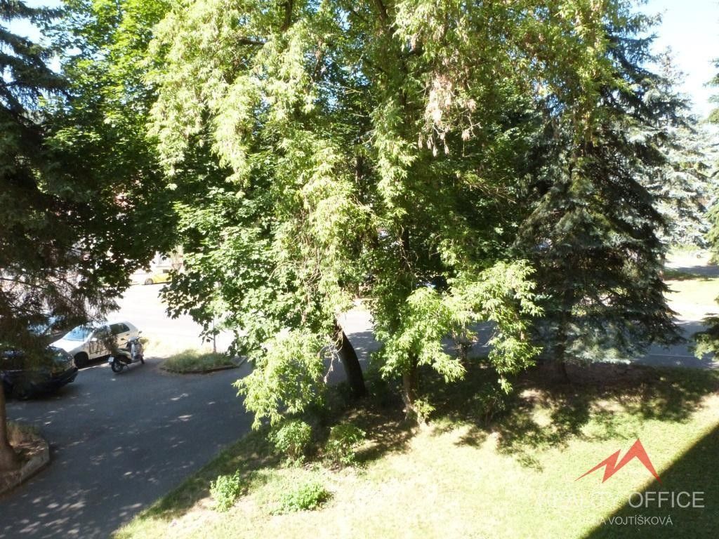 Pronájem bytu 3+1 68 m² - foto 16