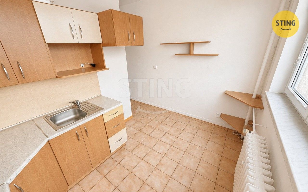 Pronájem bytu 2+1 60 m² - foto 10