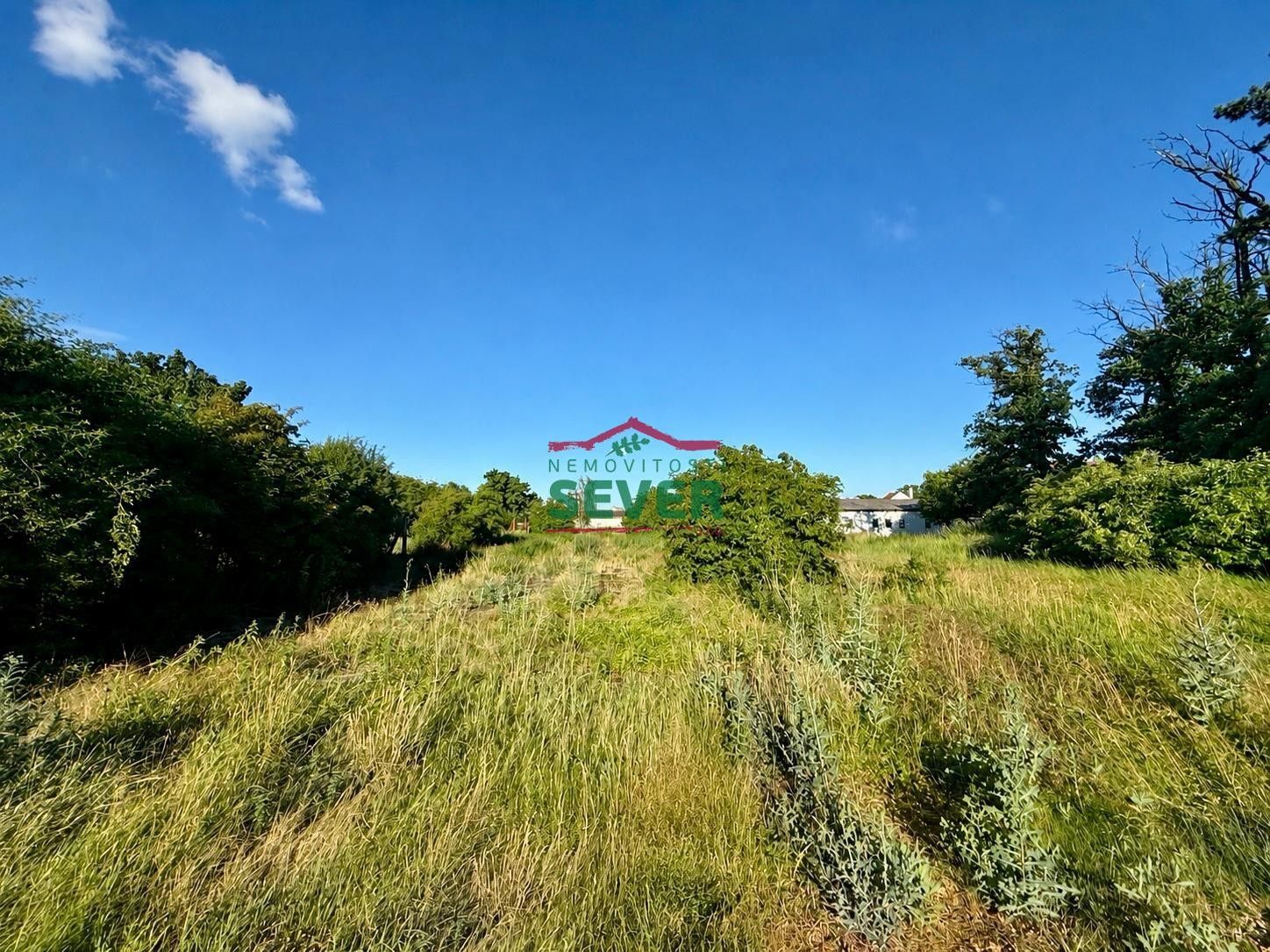 Prodej nemovitosti 1906 m² - foto 4