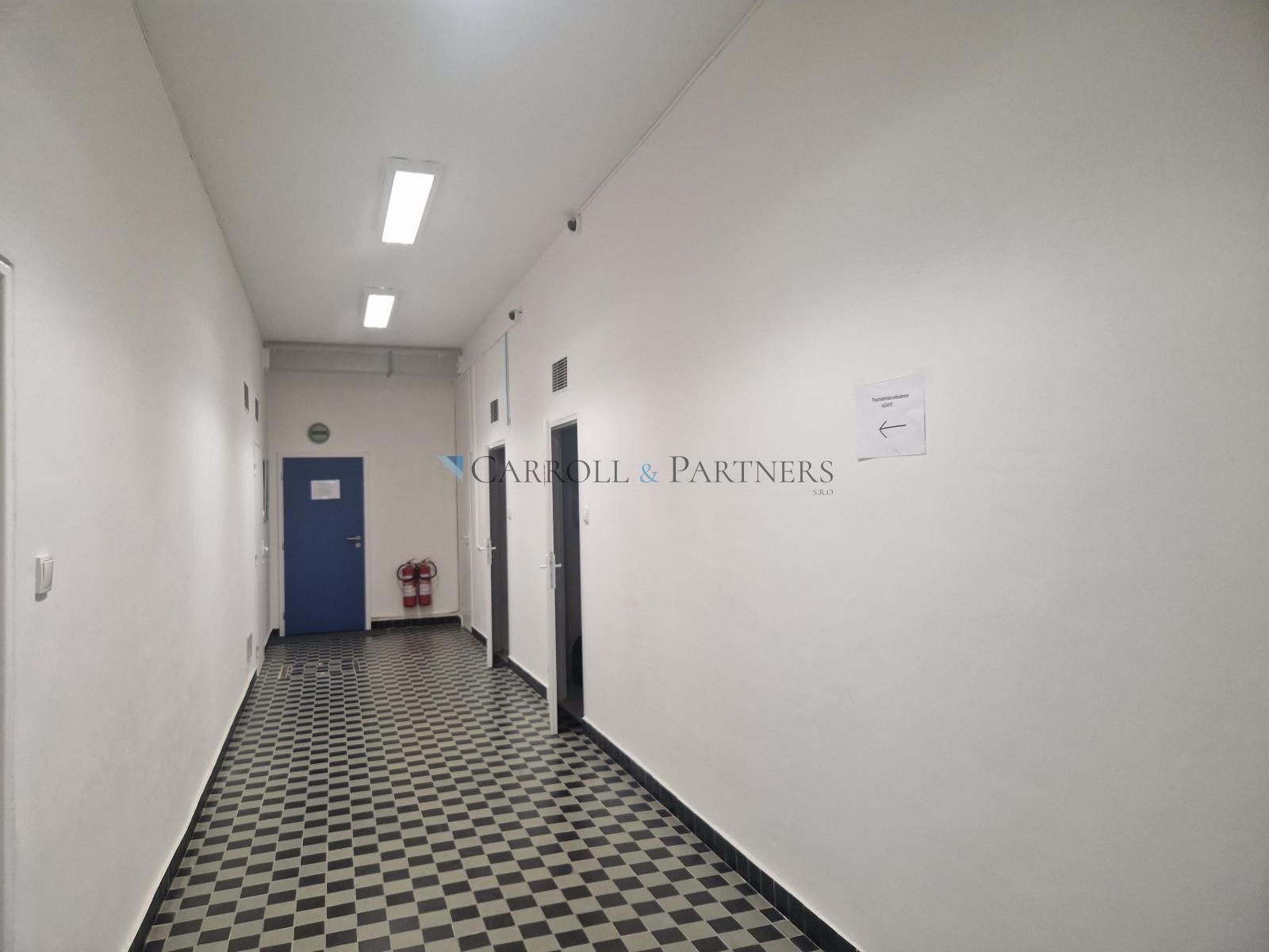 Pronájem nemovitosti 75 m² - foto 11