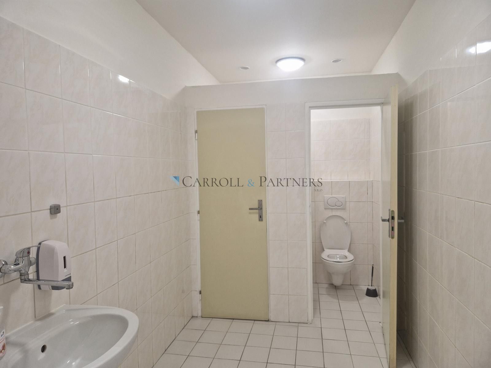Pronájem nemovitosti 75 m² - foto 12
