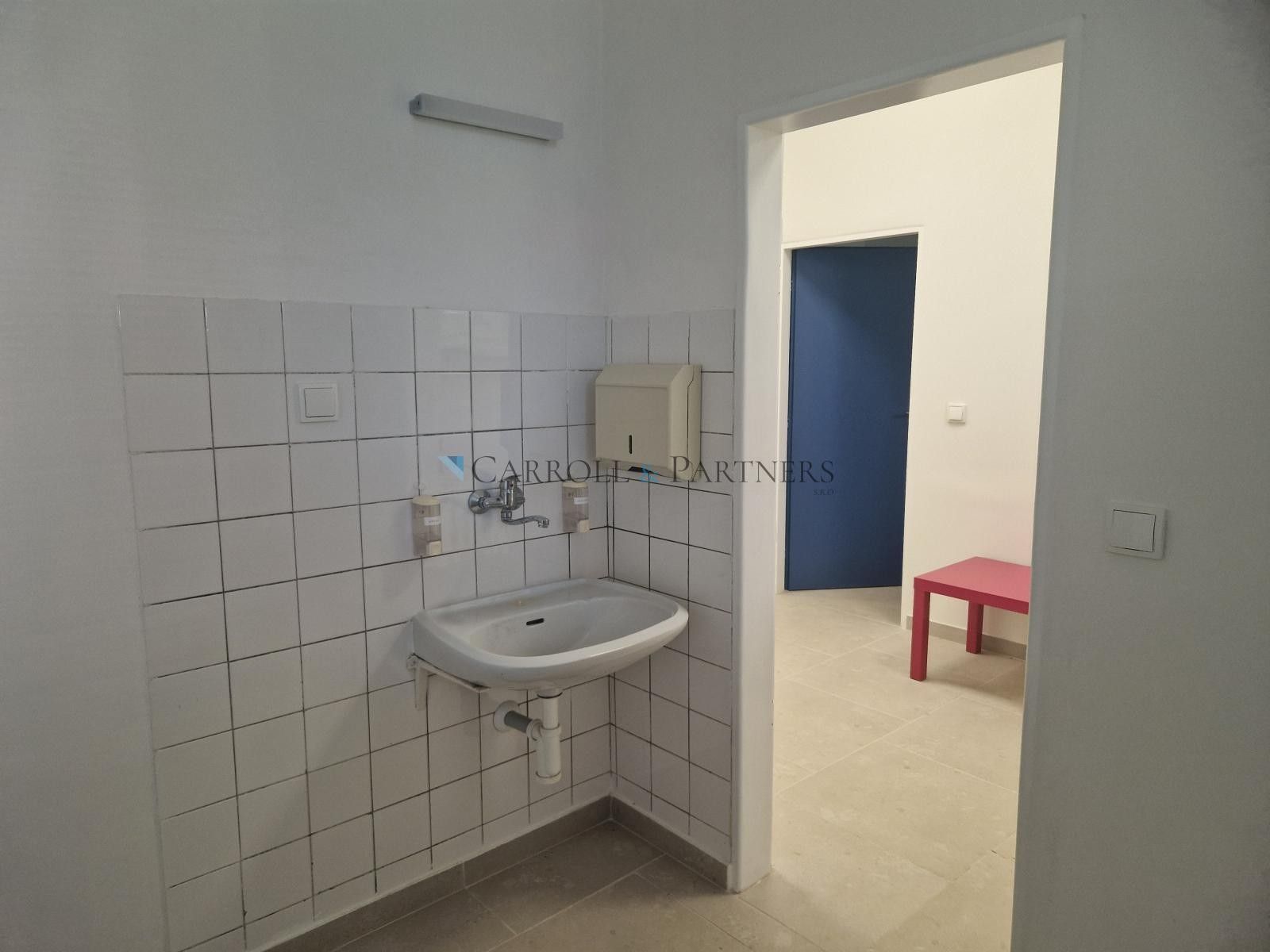 Pronájem nemovitosti 75 m² - foto 13