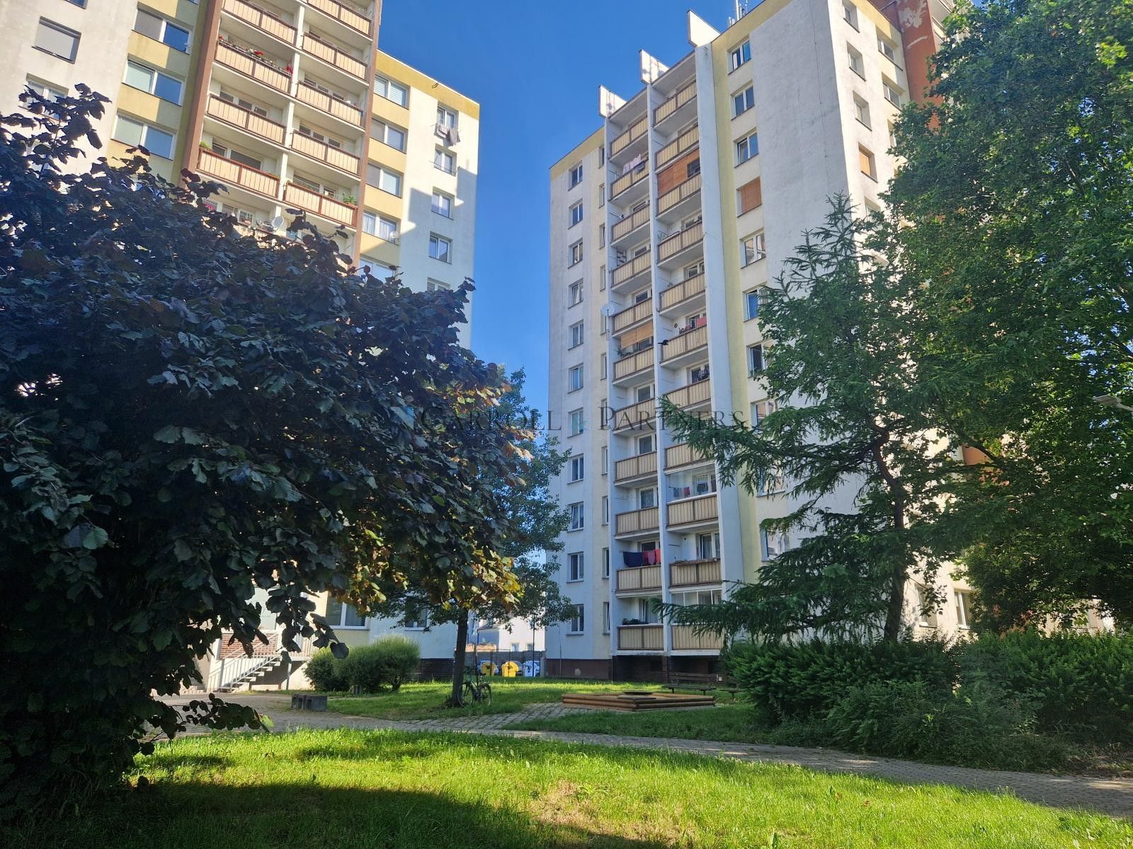 Pronájem nemovitosti 75 m² - foto 15