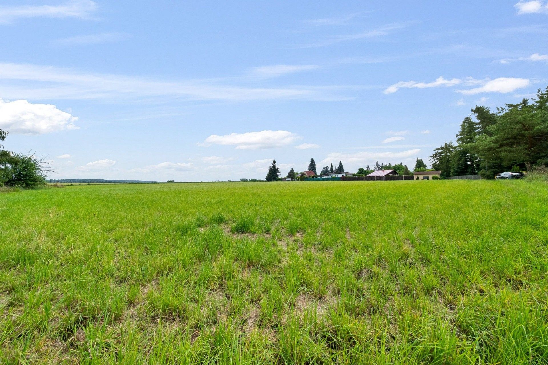 Prodej pozemku 3860 m² - foto 9