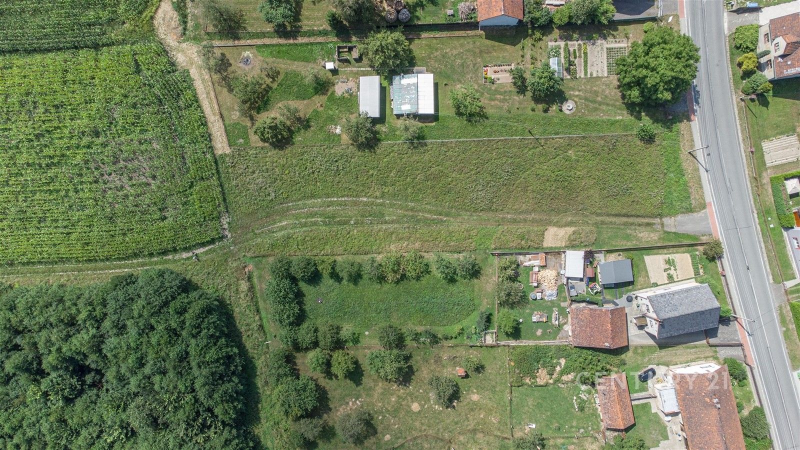 Prodej pozemku 1203 m² - foto 4