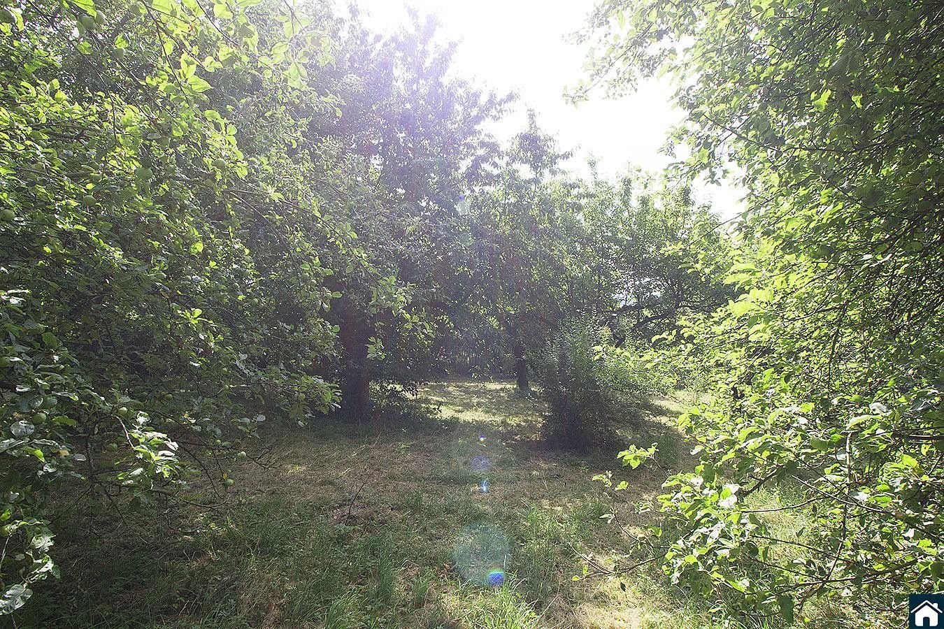 Prodej pozemku 2233 m² - foto 5