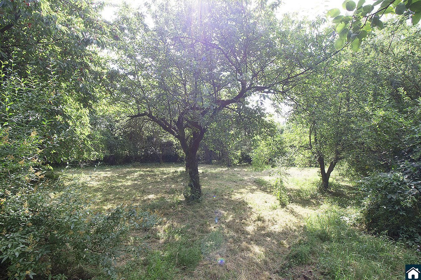 Prodej pozemku 2233 m² - foto 2