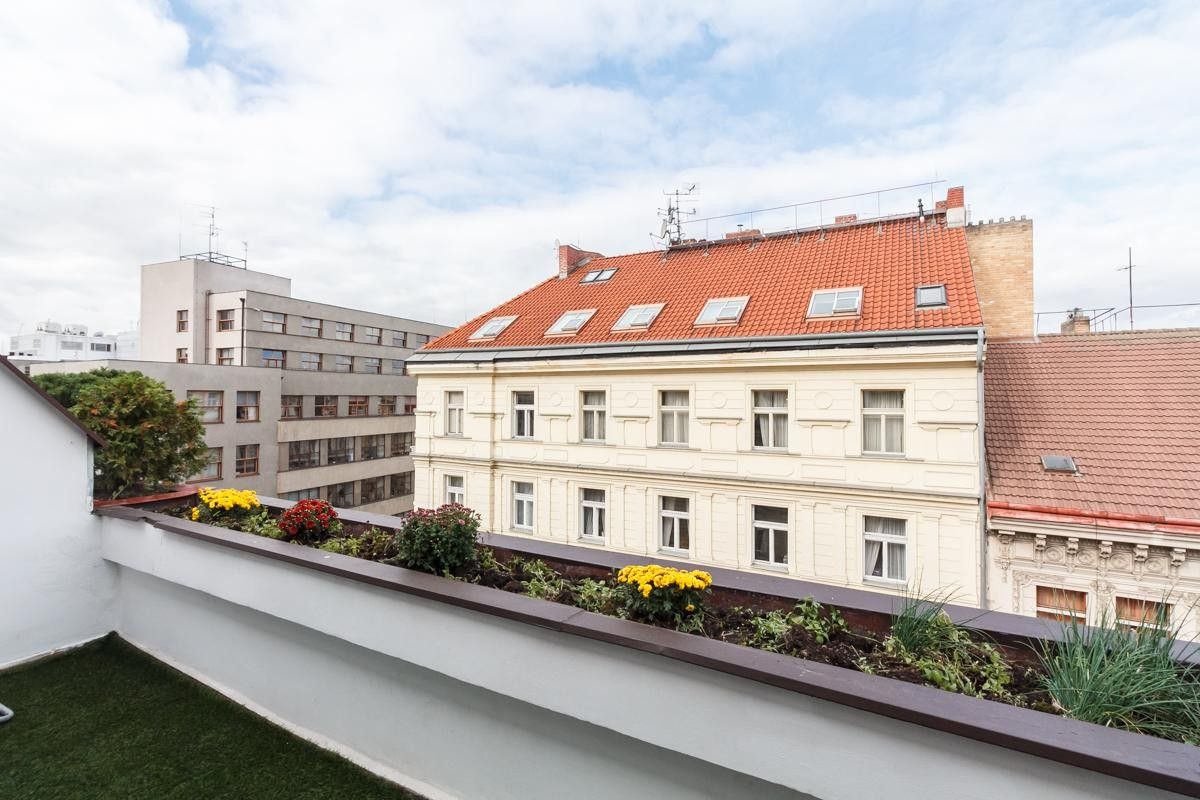 Pronájem bytu 5+kk 186 m² - foto 11