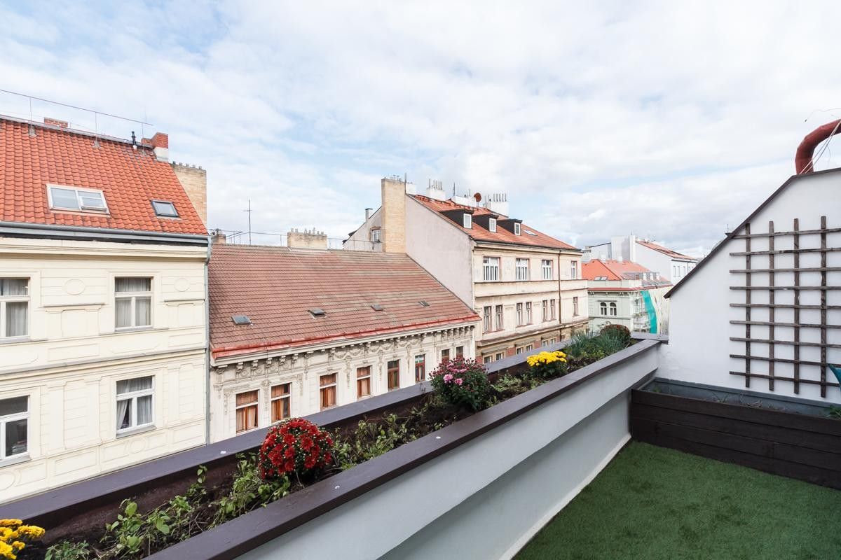 Pronájem bytu 5+kk 186 m² - foto 12