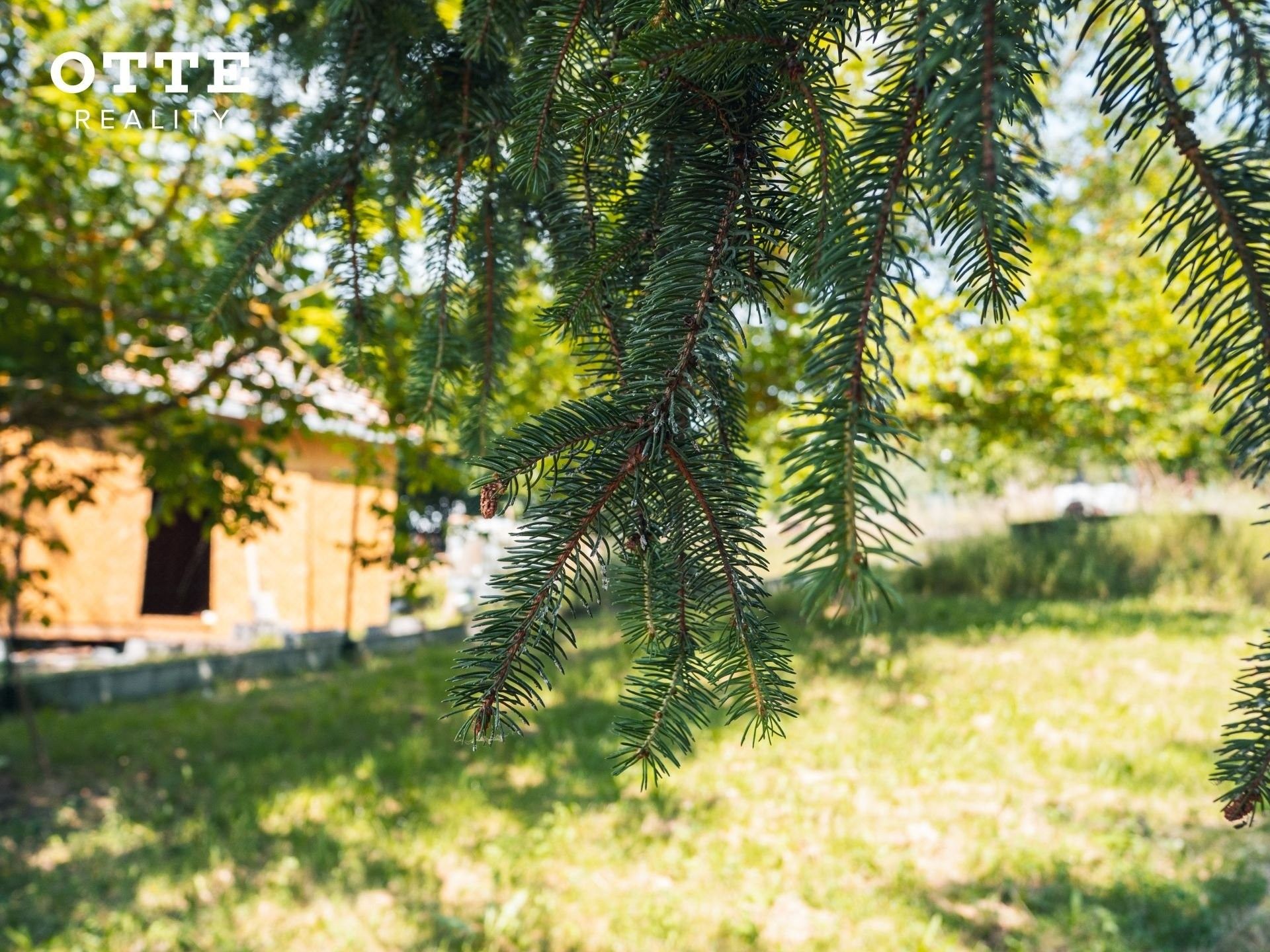 Prodej pozemku 1844 m² - foto 16