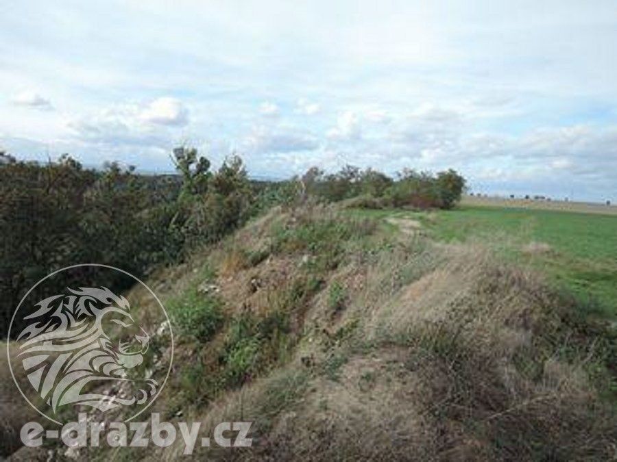 Prodej nemovitosti 264996 m² - foto 12