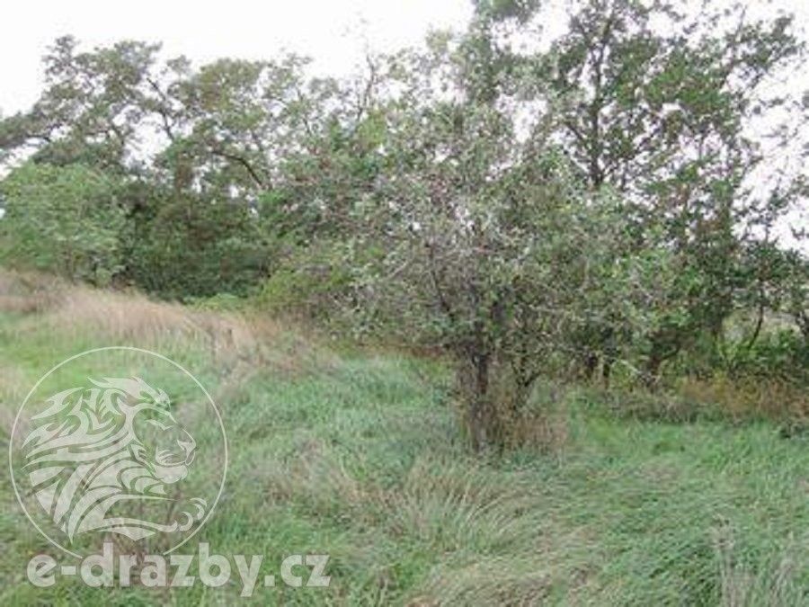 Prodej nemovitosti 264996 m² - foto 11