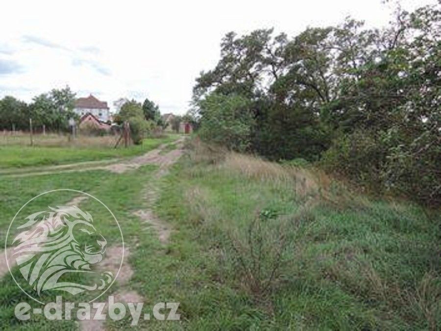 Prodej nemovitosti 264996 m² - foto 10