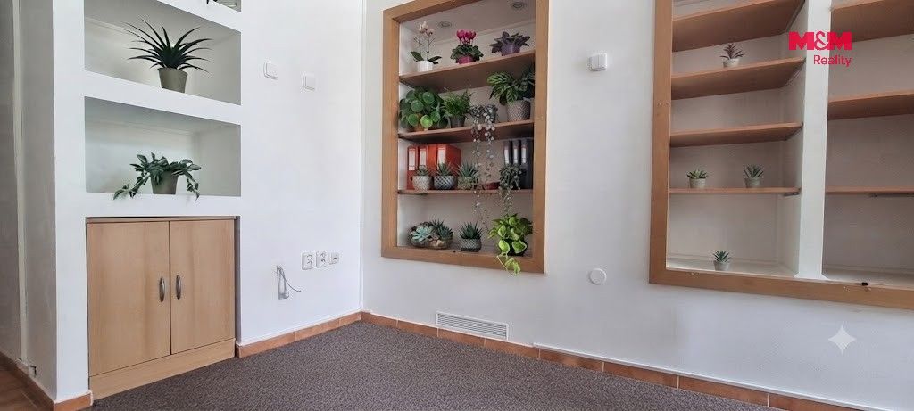 Pronájem komerčního prostoru 50 m² - foto 4