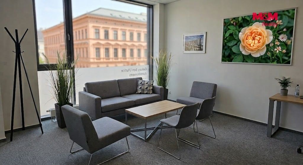 Pronájem komerčního prostoru 50 m² - foto 2
