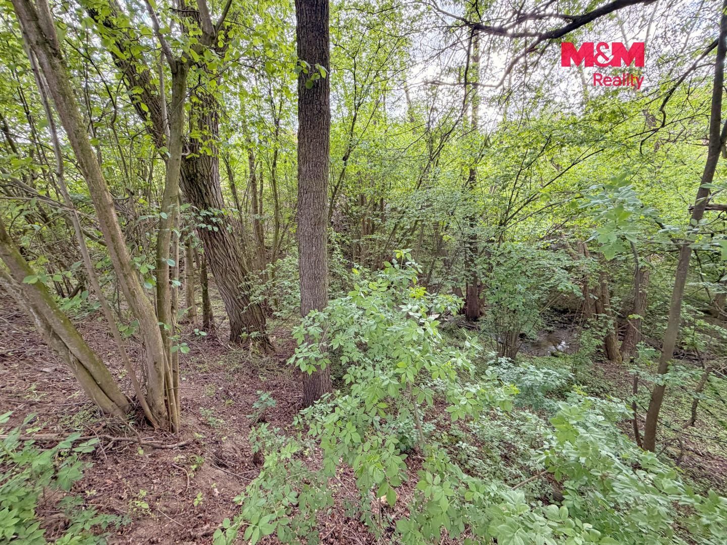 Prodej pozemku 2790 m² - foto 12