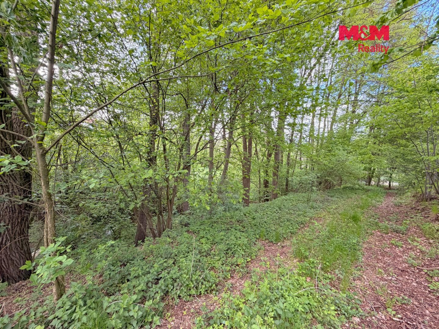 Prodej pozemku 2790 m² - foto 13