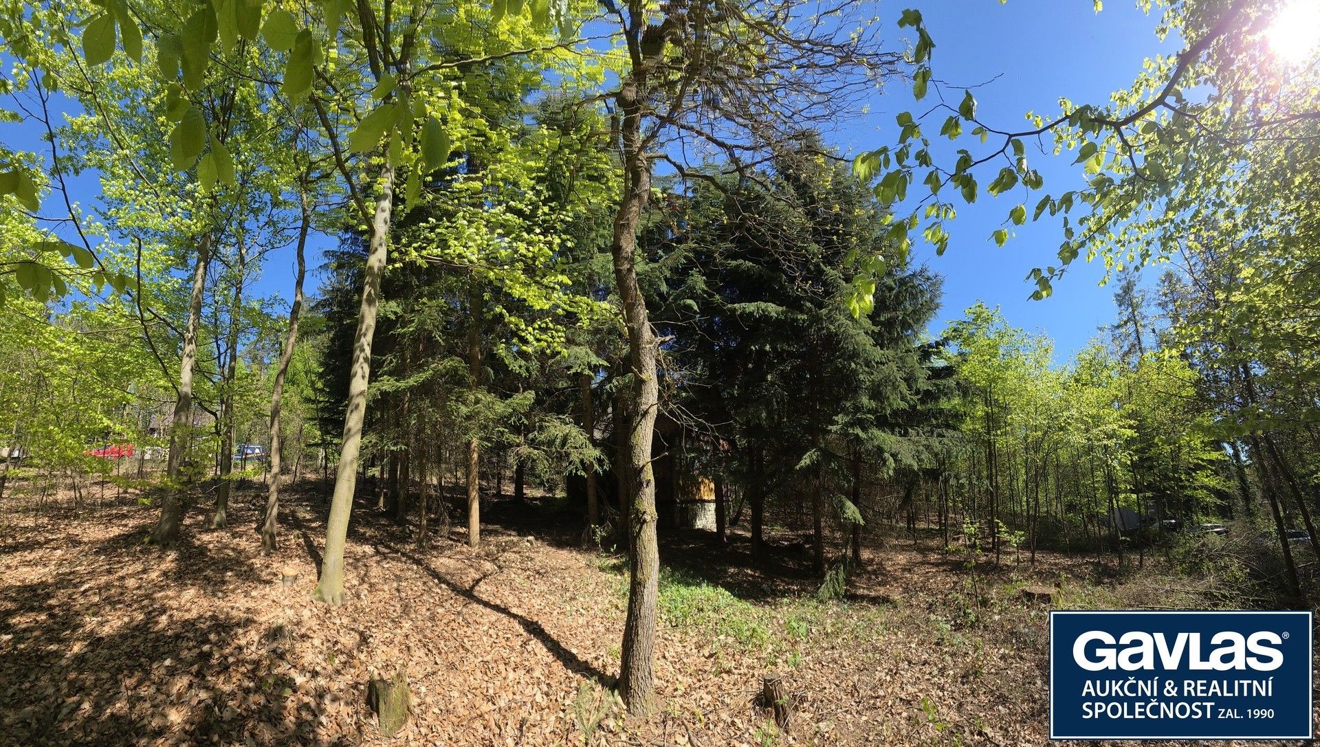Prodej pozemku 3541 m² - foto 13