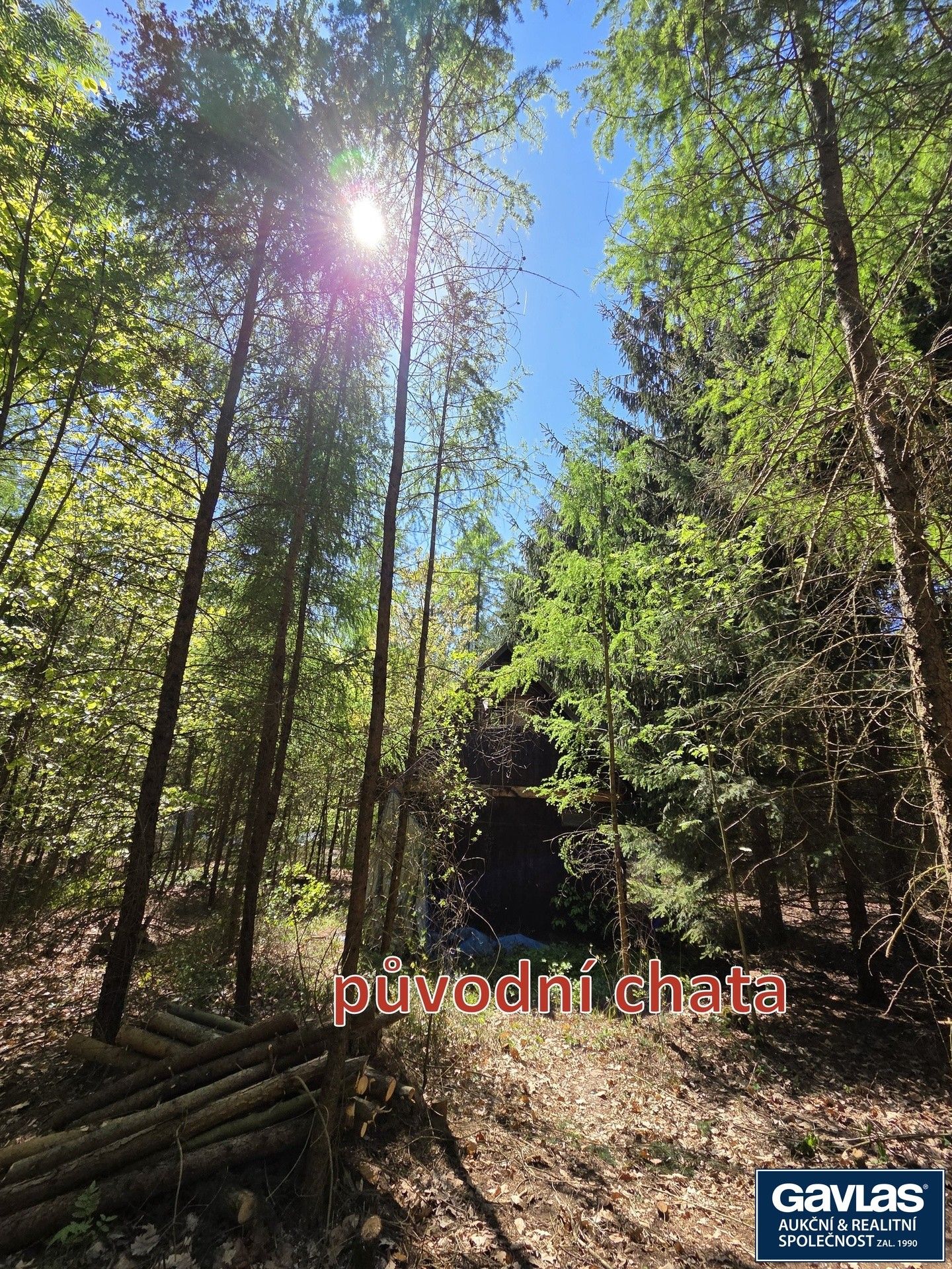 Prodej pozemku 3541 m² - foto 16