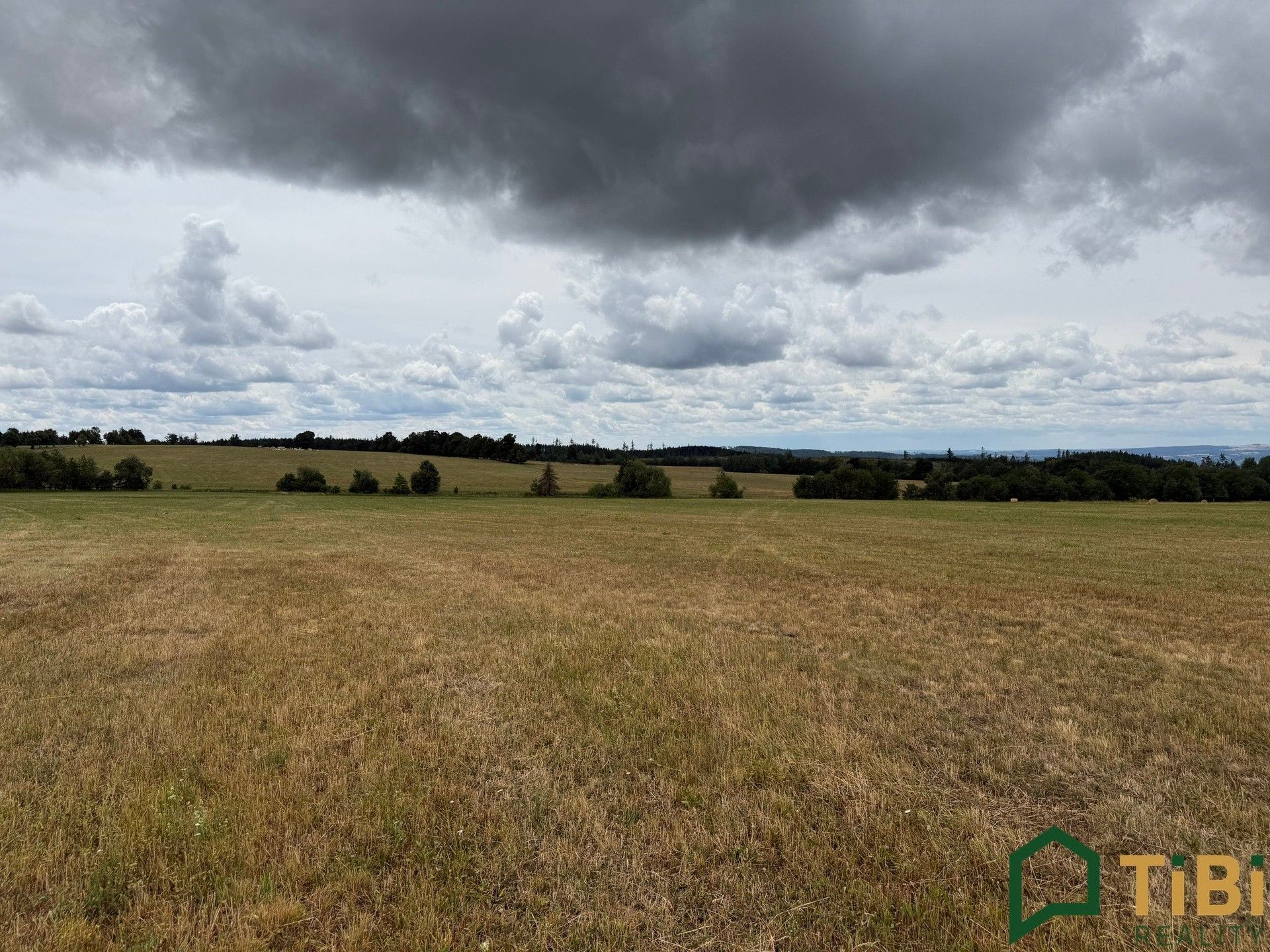 Prodej pozemku 2000 m² - foto 1
