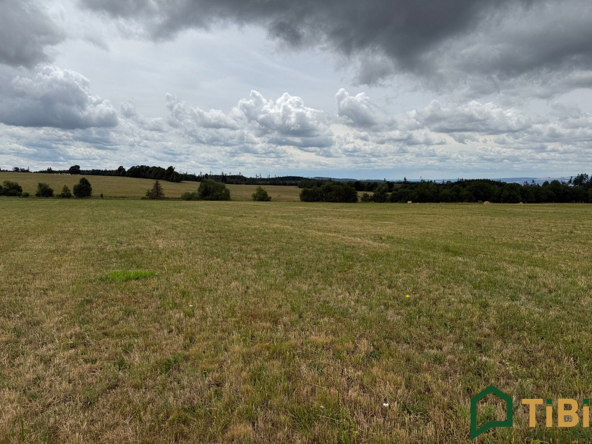 Prodej pozemku 2000 m² - foto 6