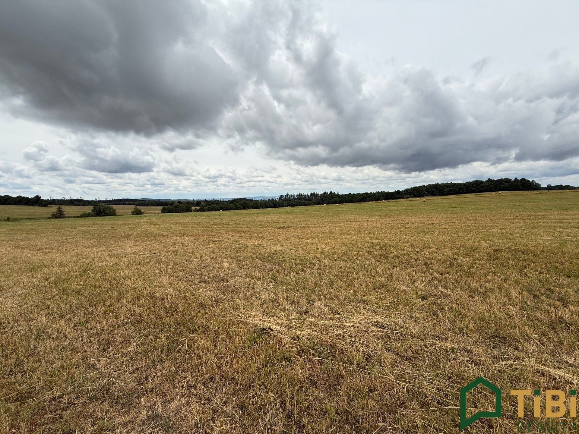 Prodej pozemku 2000 m² - foto 5