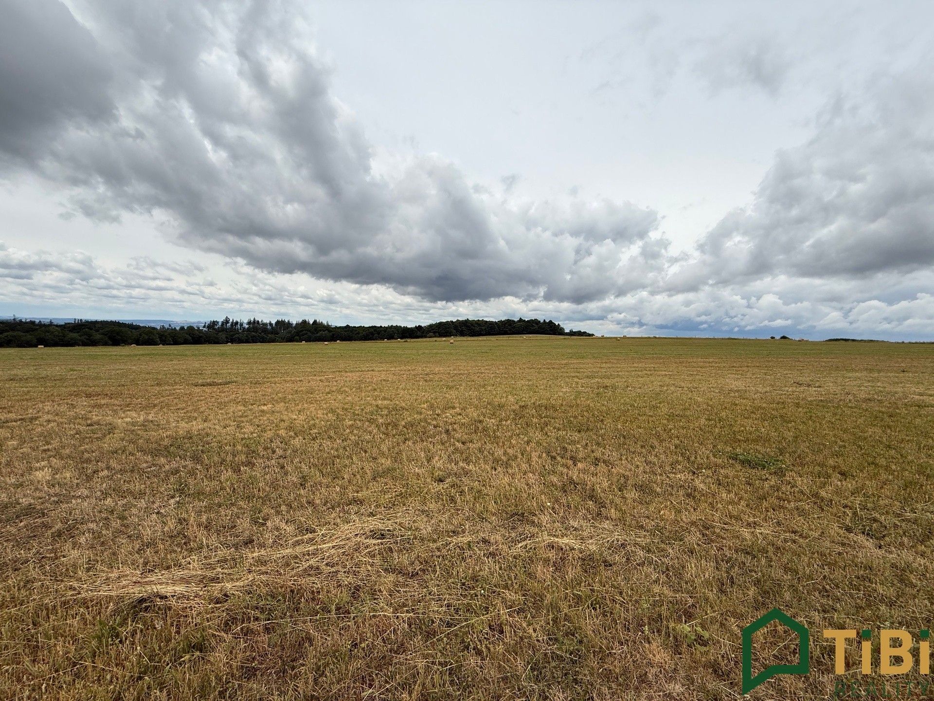 Prodej pozemku 2000 m² - foto 3