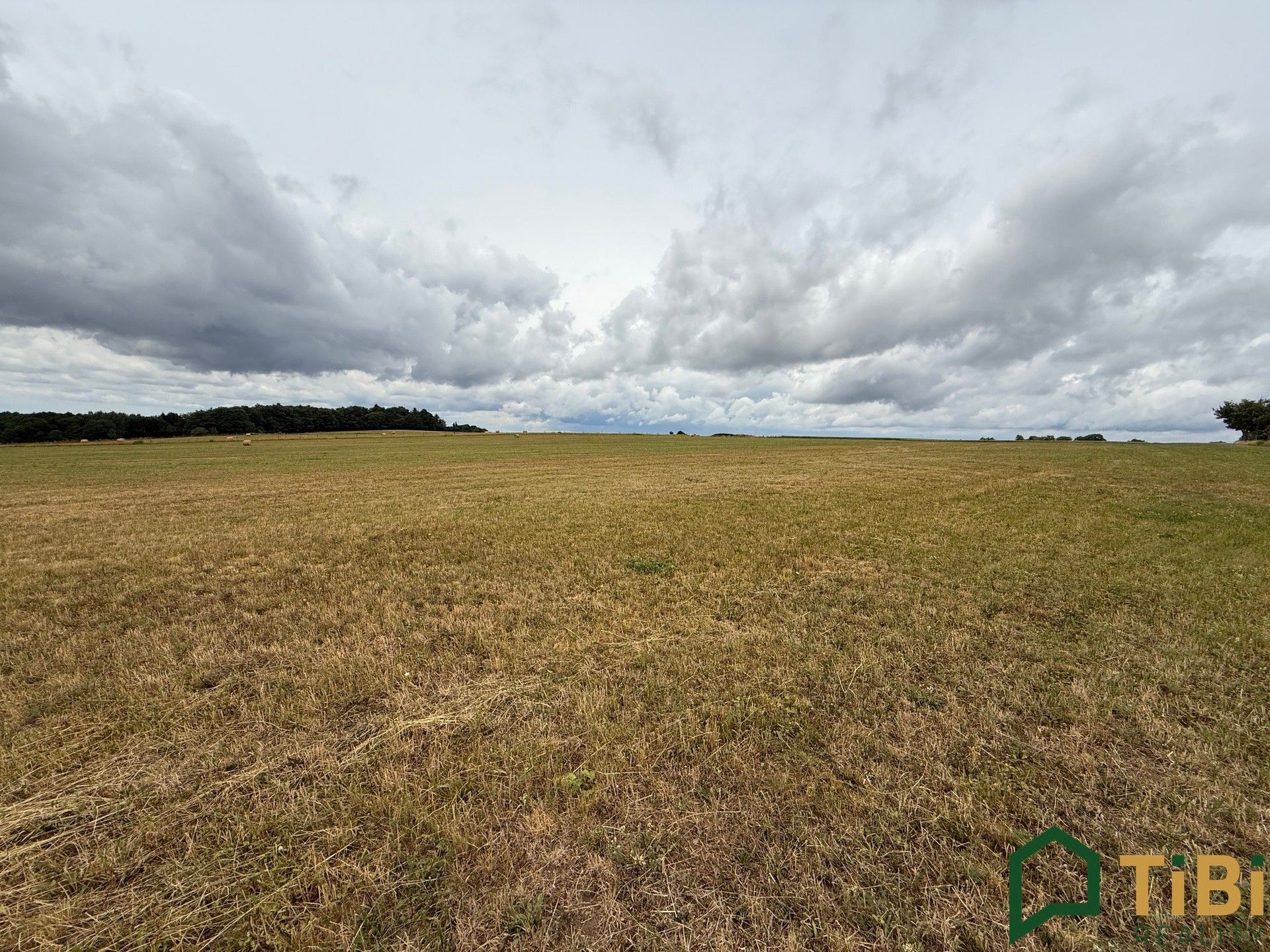 Prodej pozemku 2000 m² - foto 4