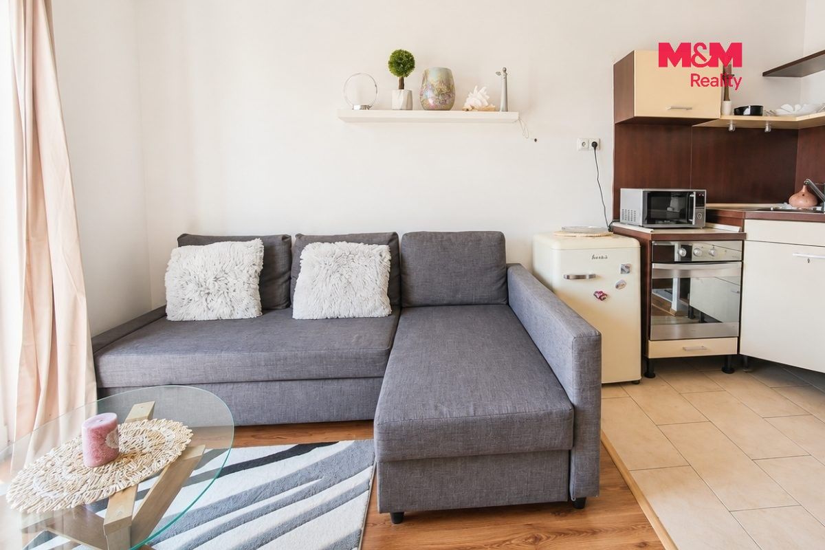 Pronájem bytu 1+kk 29 m² - foto 3