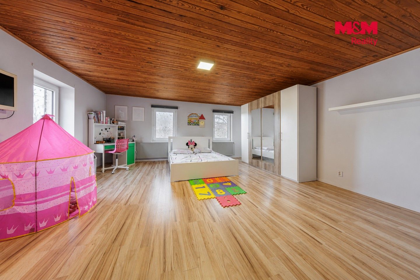 Prodej nemovitosti 225 m² - foto 11