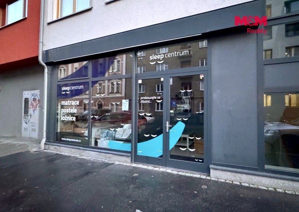 Pronájem komerčního prostoru 172 m² - foto 11