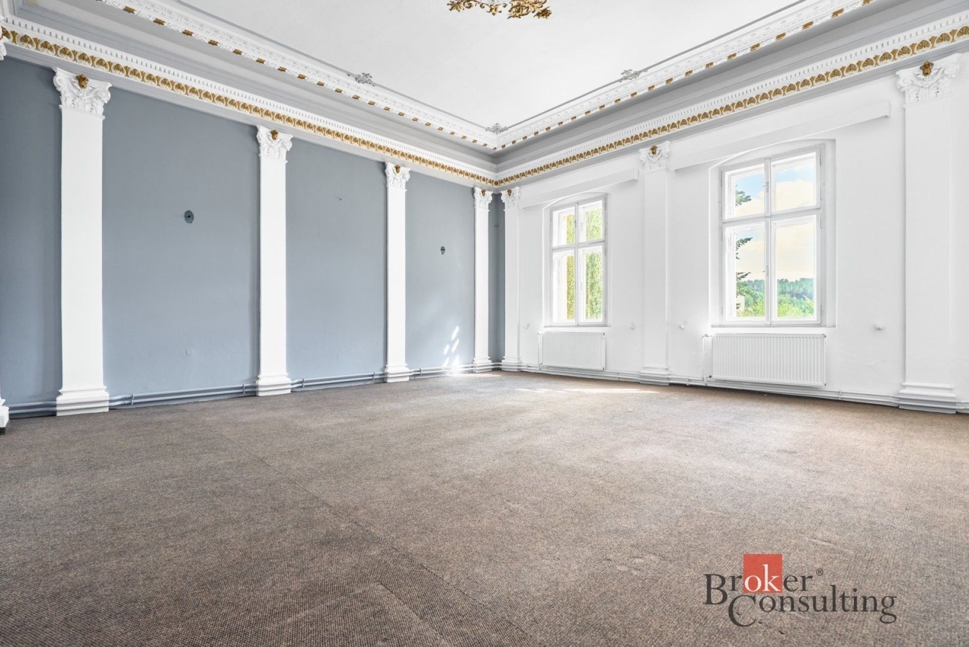 Prodej komerčního prostoru 750 m² - foto 13