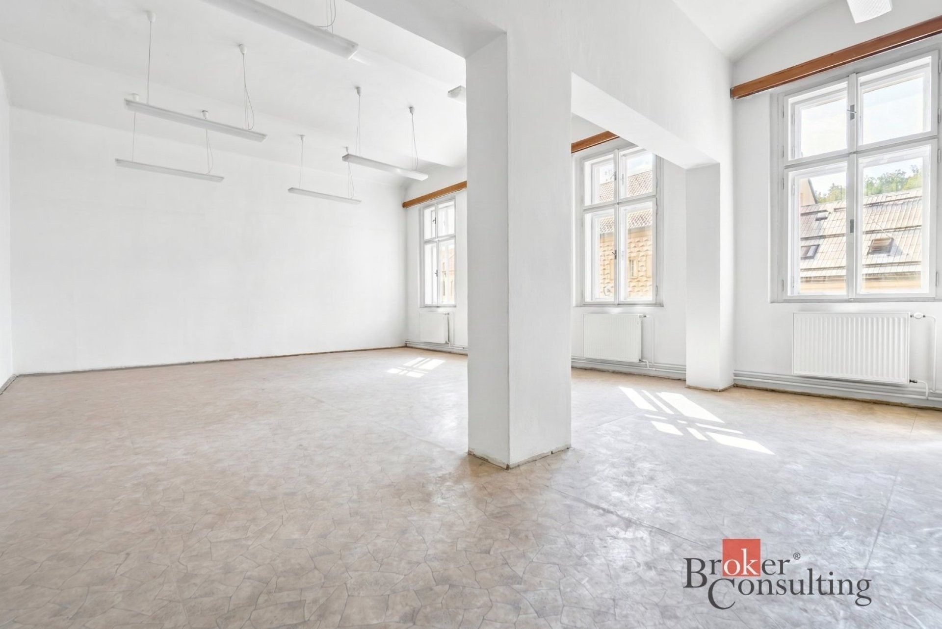 Prodej komerčního prostoru 750 m² - foto 17