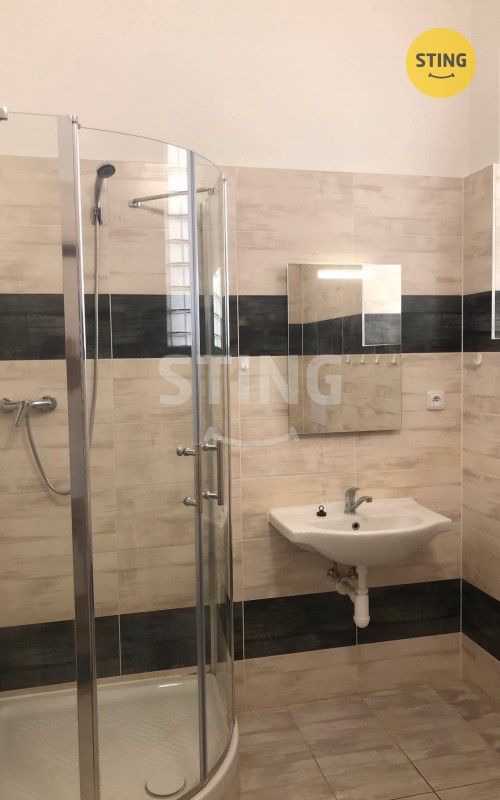 Pronájem bytu 5+1 157 m² - foto 5