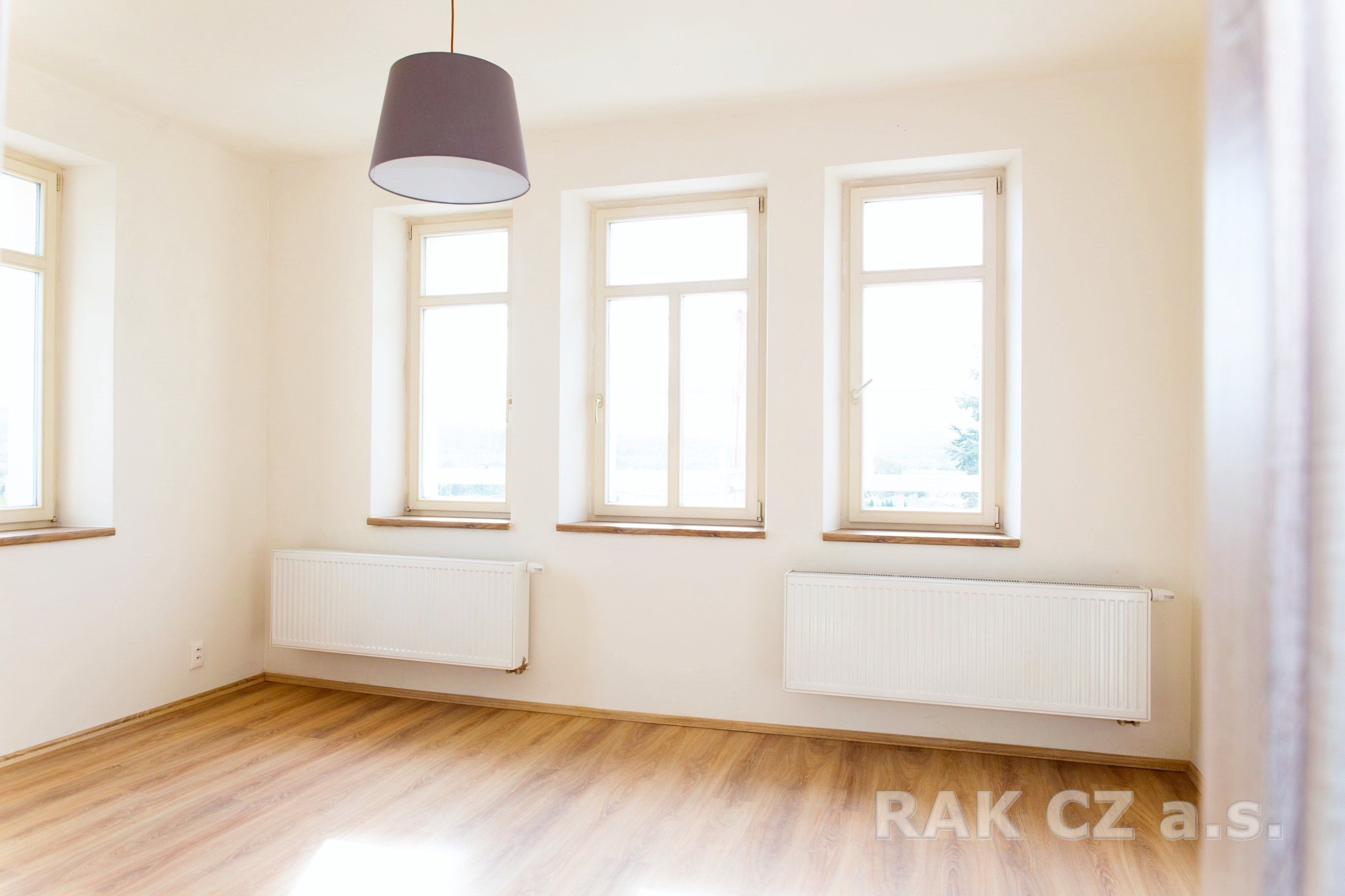 Prodej domu 338 m² - foto 7