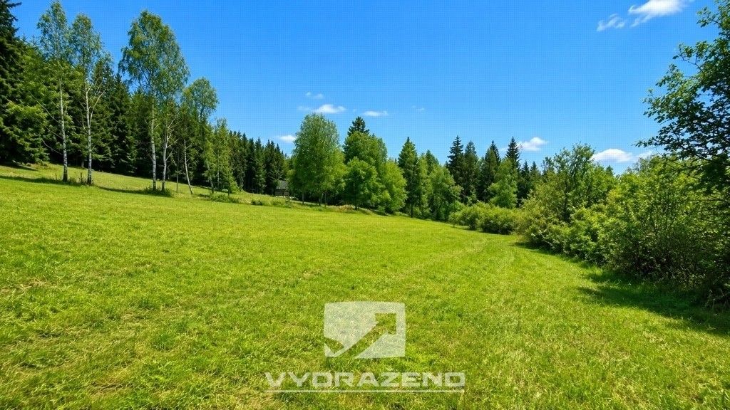 Prodej pozemku 6990 m² - foto 3