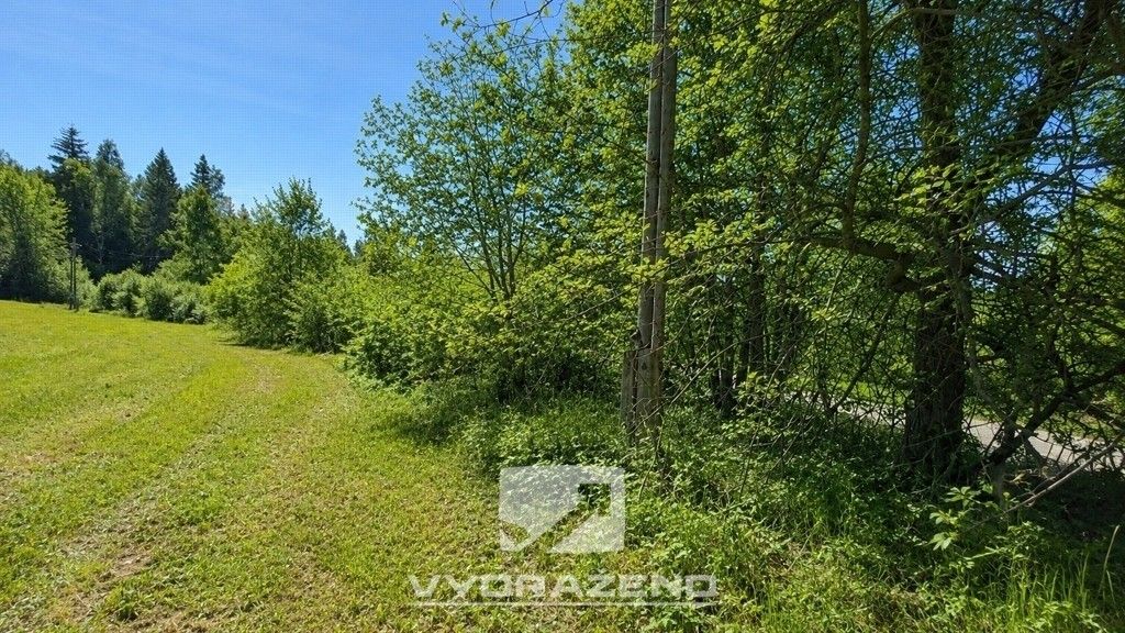 Prodej pozemku 6990 m² - foto 6