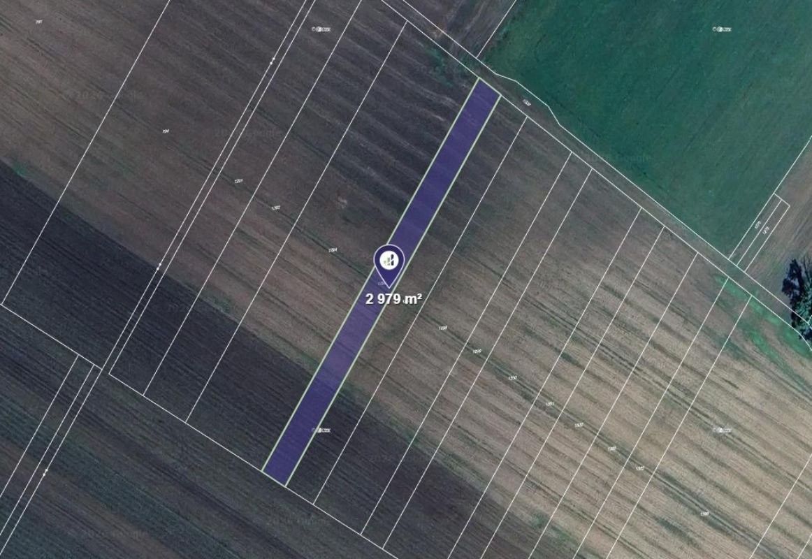 Prodej pozemku 2979 m² - foto 1