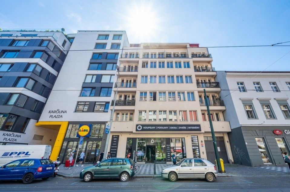 Pronájem bytu 3+kk 110 m² - foto 6