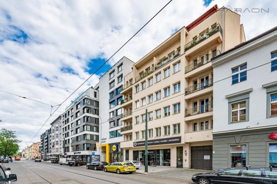 Pronájem bytu 3+kk 110 m² - foto 16