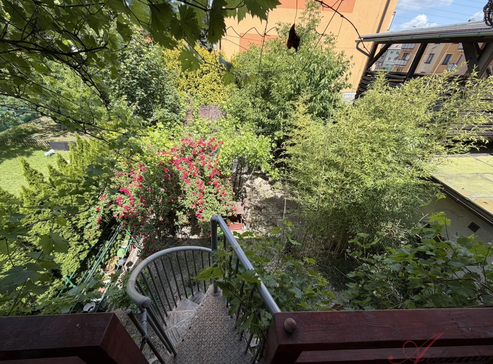 Prodej domu 248 m² - foto 4