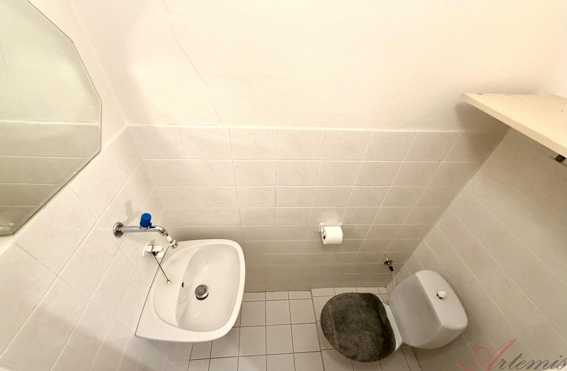 Prodej domu 248 m² - foto 10