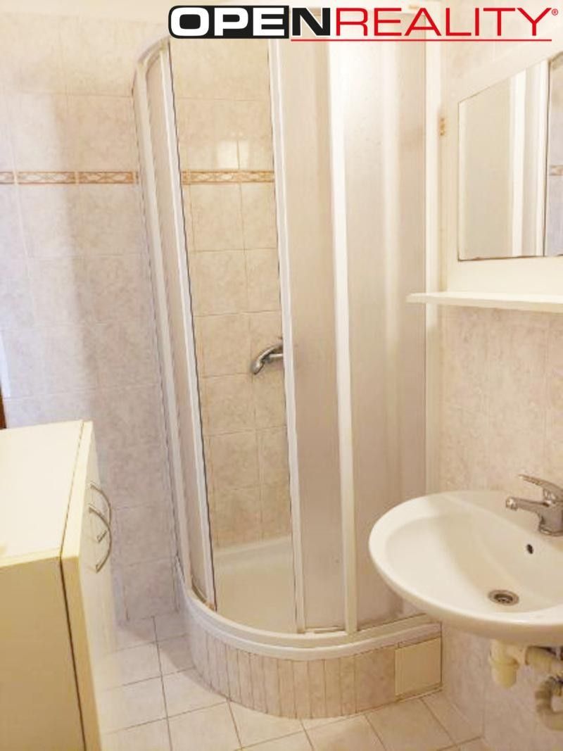 Pronájem bytu 1+1 30 m² - foto 9