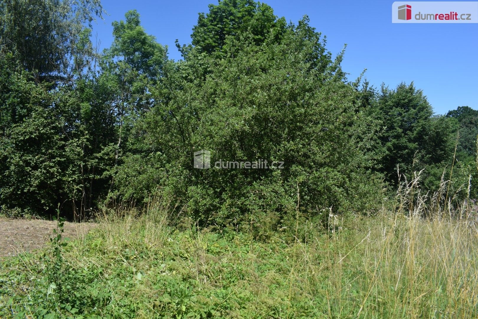 Prodej pozemku 909 m² - foto 4
