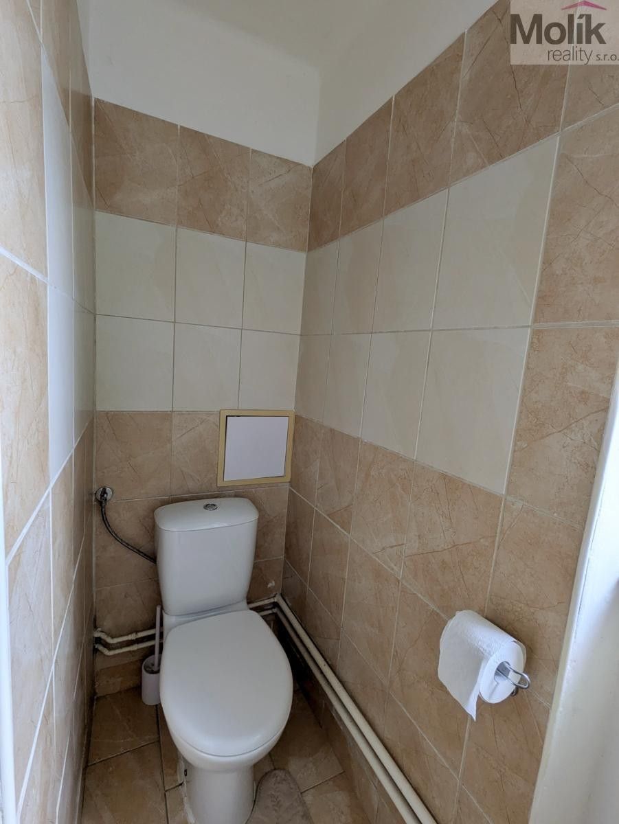 Pronájem bytu 2+1 60 m² - foto 11