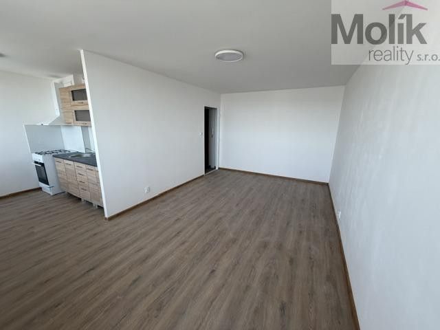 Pronájem bytu 1+kk 36 m² - foto 3