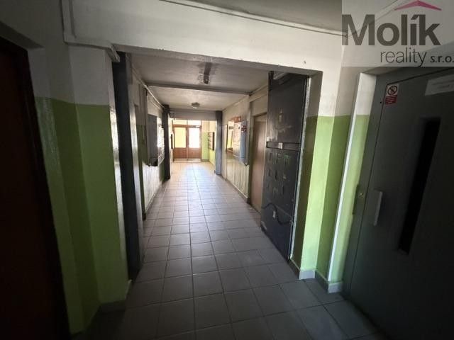 Pronájem bytu 1+kk 36 m² - foto 11